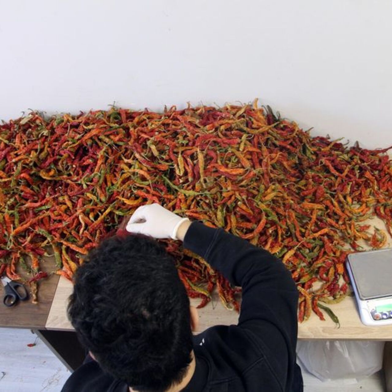 Kadınların projesi örnek oldu