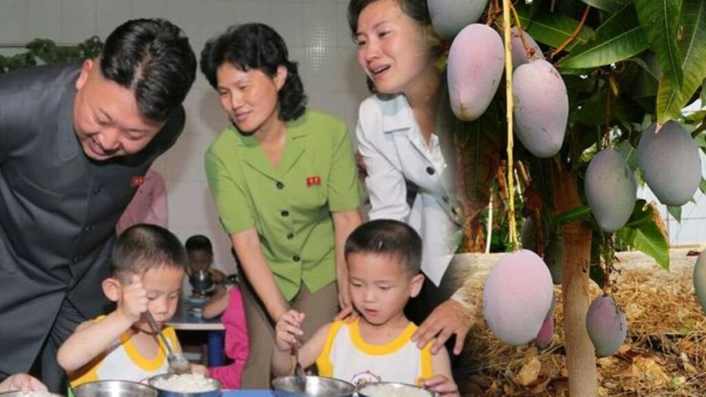 Koreliler işte bu yüzden mango yemiyor