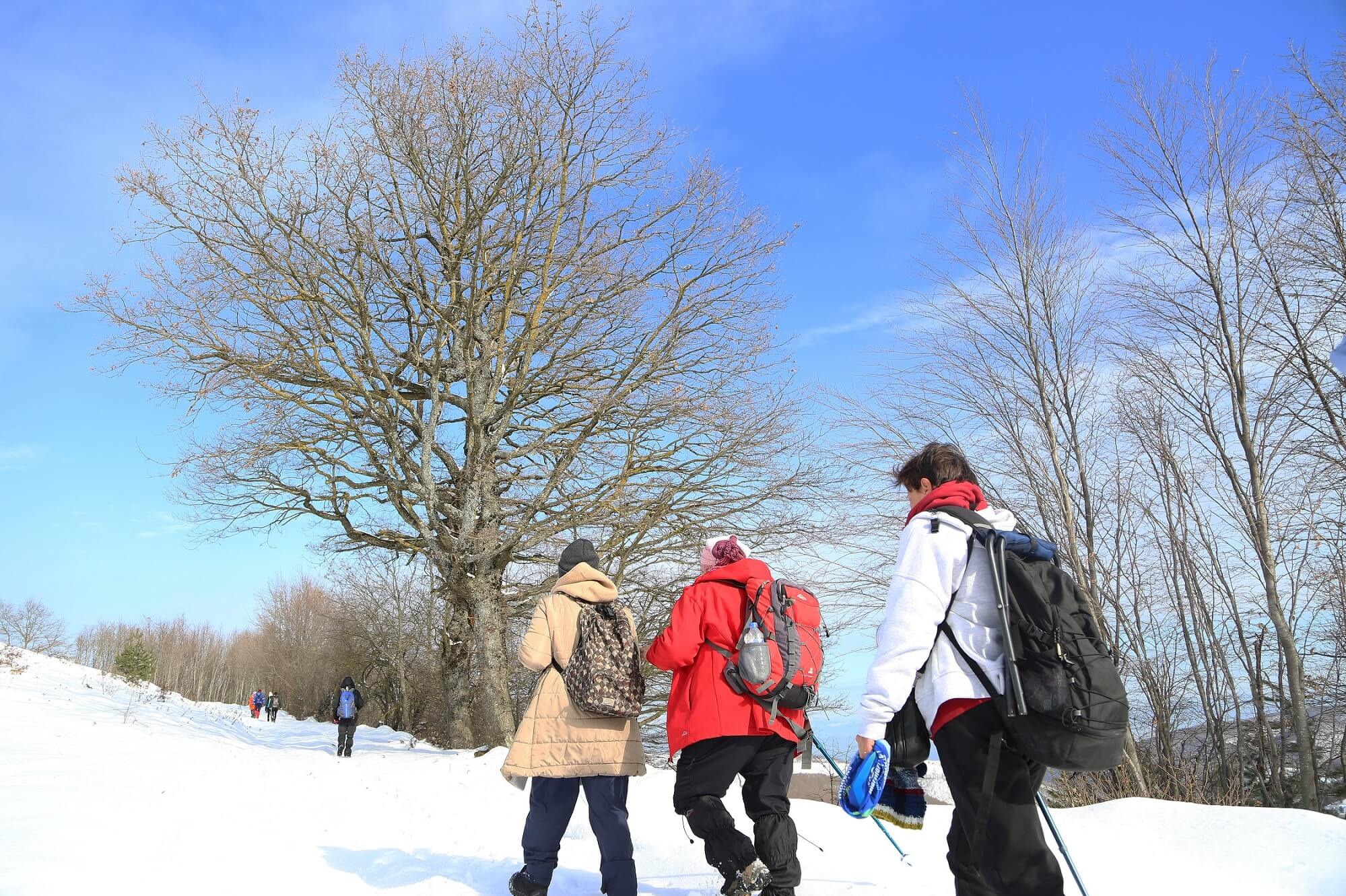 Sevgililer Günü’nde Mysia Yolları’nda romantik yürüyüş