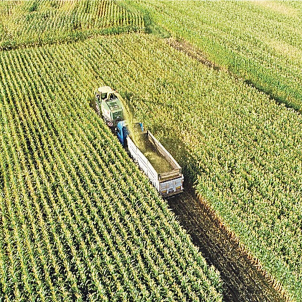 Tarım, gıda ve içecek sektörü 27,6 milyar dolarlık ihracat geçekleştirdi