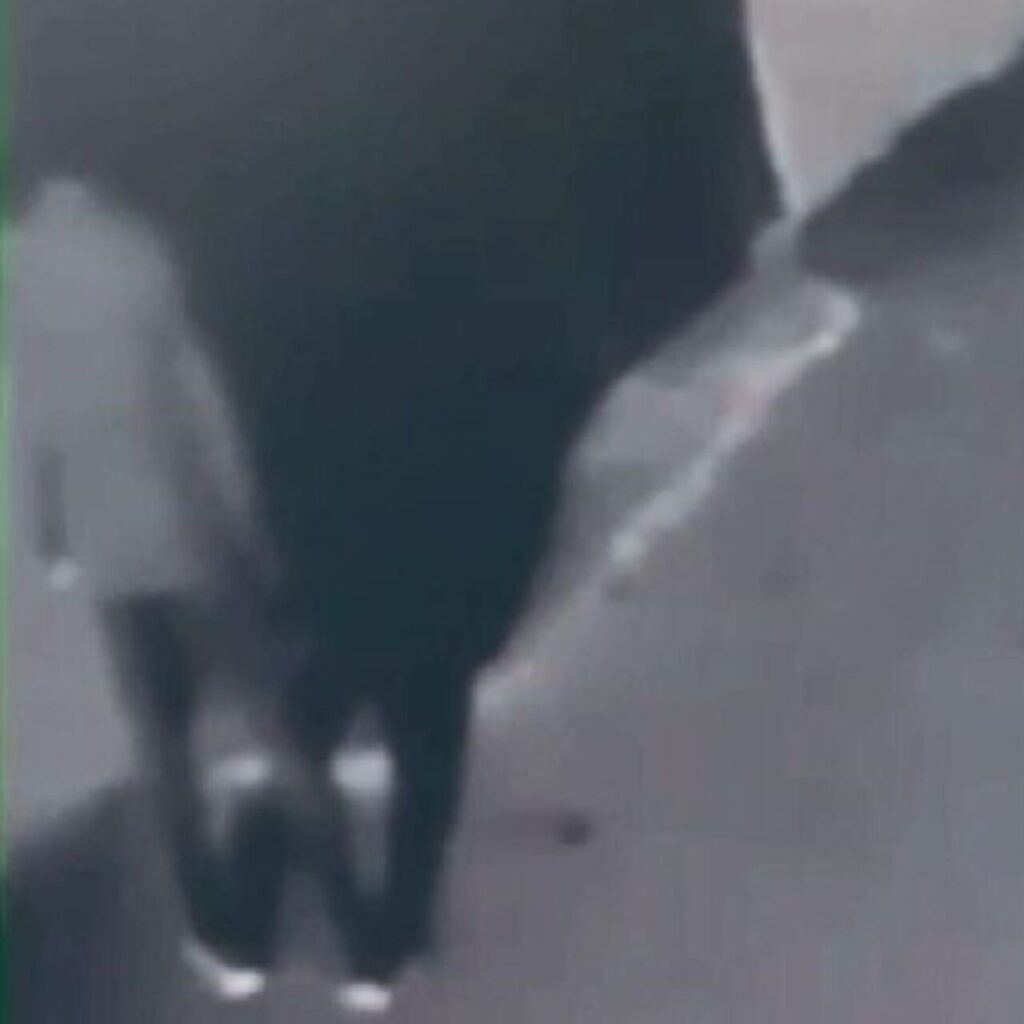 Türk bayrağını yakmıştı! İşte istenen ceza!