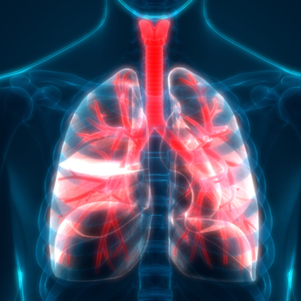 "Yeni aşılarla zatürre ve atak riski azalacak"