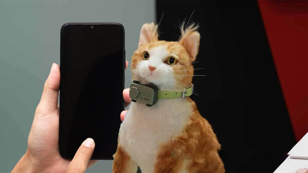 ‘Alo’nun yerini ‘Miyav’ alacak: İlk evcil hayvan telefonu tanıtıldı