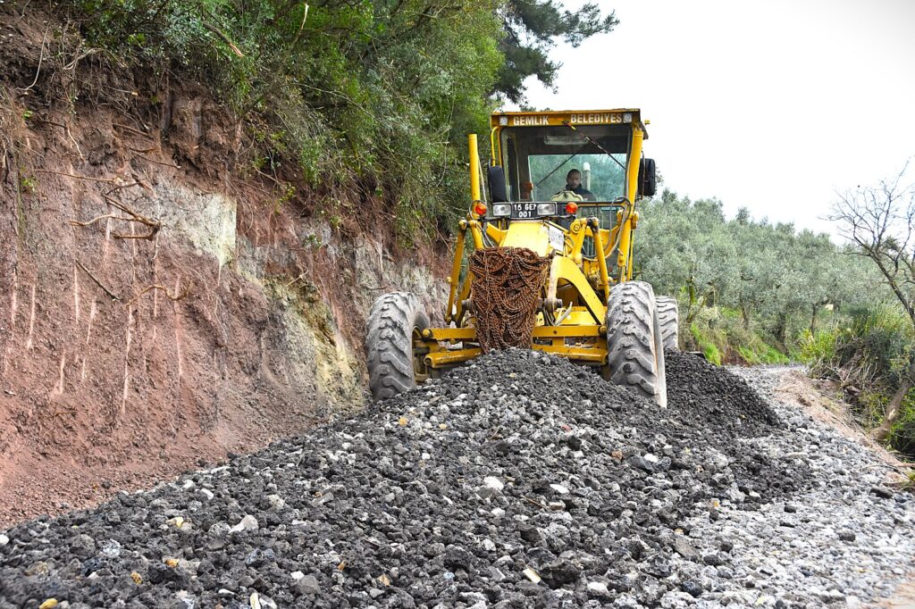 Gemlik’te Patili Canlar Yeni Yuvalarına Kavuşuyor