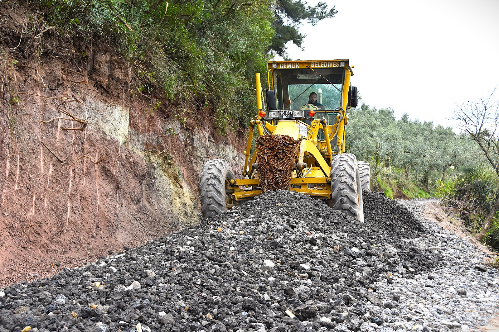 Gemlik’te Patili Canlar Yeni Yuvalarına Kavuşuyor