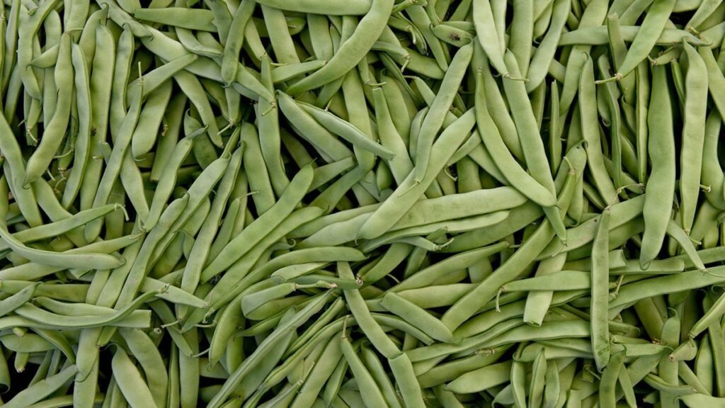 Markette satılan fasulyeler toplatılıyor! Tüketmeyin