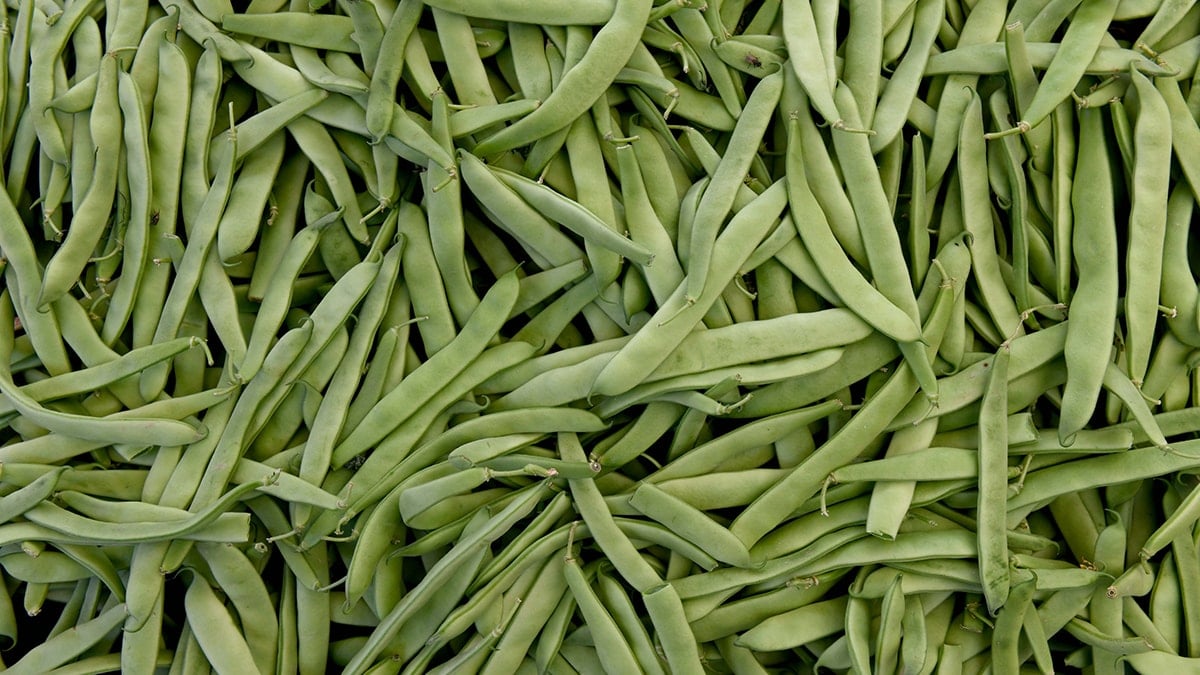 Markette satılan fasulyeler toplatılıyor! Tüketmeyin