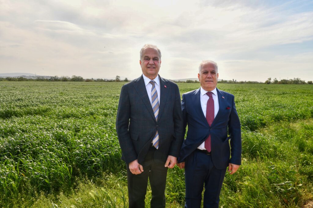 MUSTAFAKEMALPAŞA’DA 200 DÖNÜM AYÇİÇEĞİ EKİMİNE BAŞLANACAK