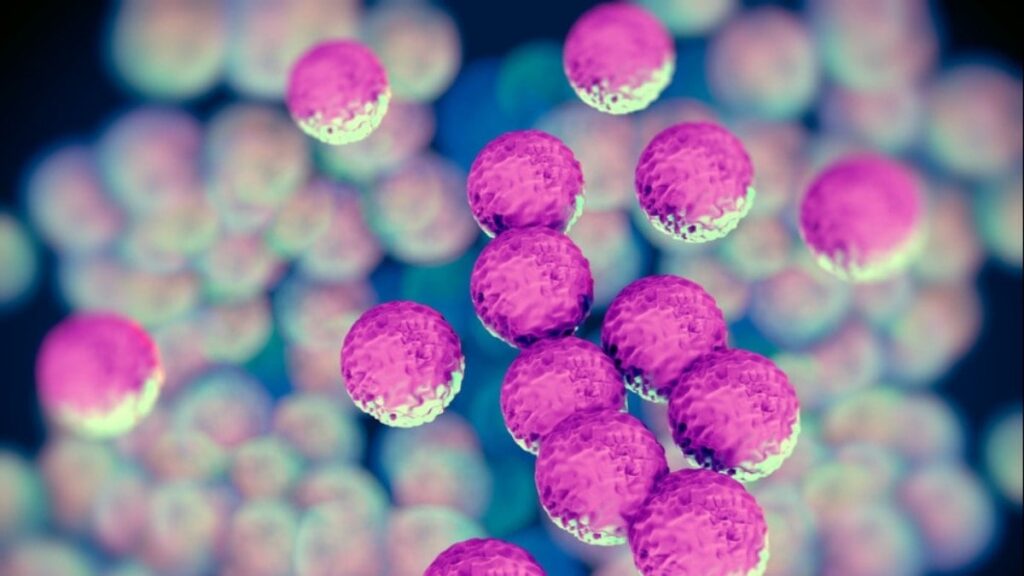 Antibiyotiğe dirençli bakteri hızla yayılıyor! Avrupa’da 11 ülkede görüldü