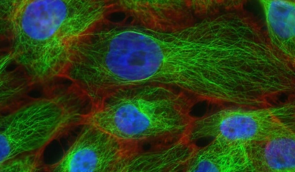 Boyut sınırını aşan ilk fotoğraf çekildi: İşte açtığı kapı…