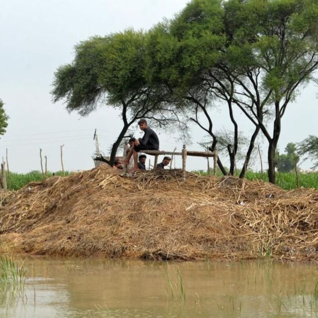 Muson yağmurları 104 can aldı!