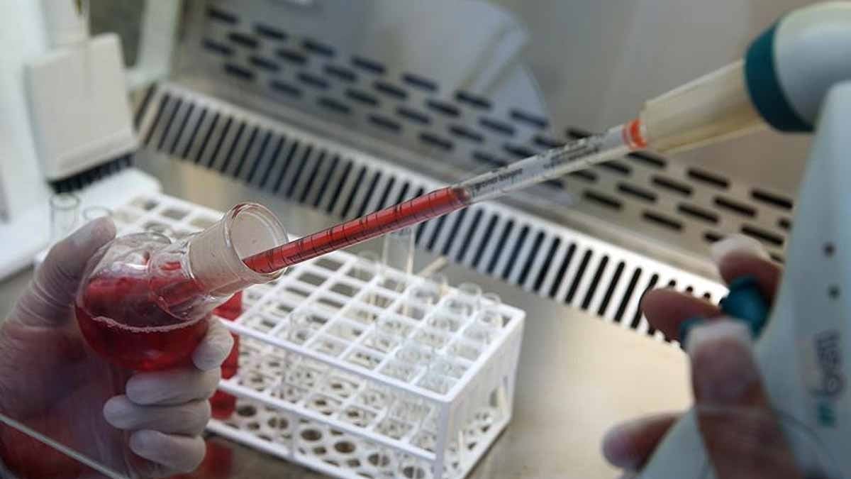 Yeni kan grubu bulundu: Yaşlanmıyorlar!