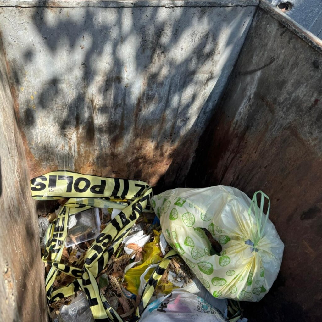 Bebeğini çöpe atıp alışverişe gitti!