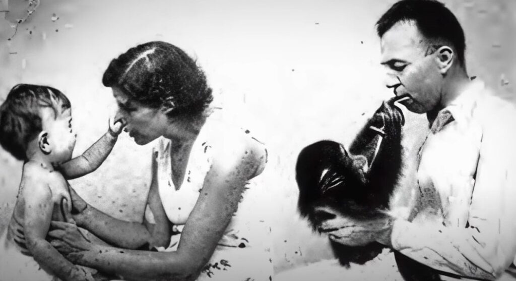 Bebek maymunlaşmaya başladı, dev deney anında iptal edildi