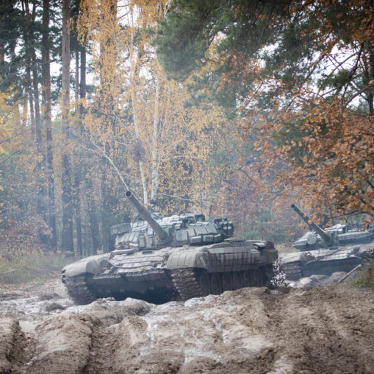 Estonya bataklıkları yeniden canlandırmayı planlıyor