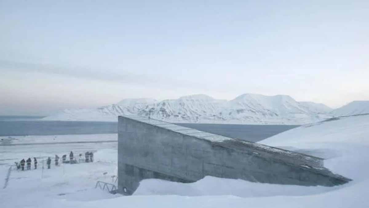 Sadece 6 haftada 62 milyar ton buz kaybetti, tohum kasası tehlikede!