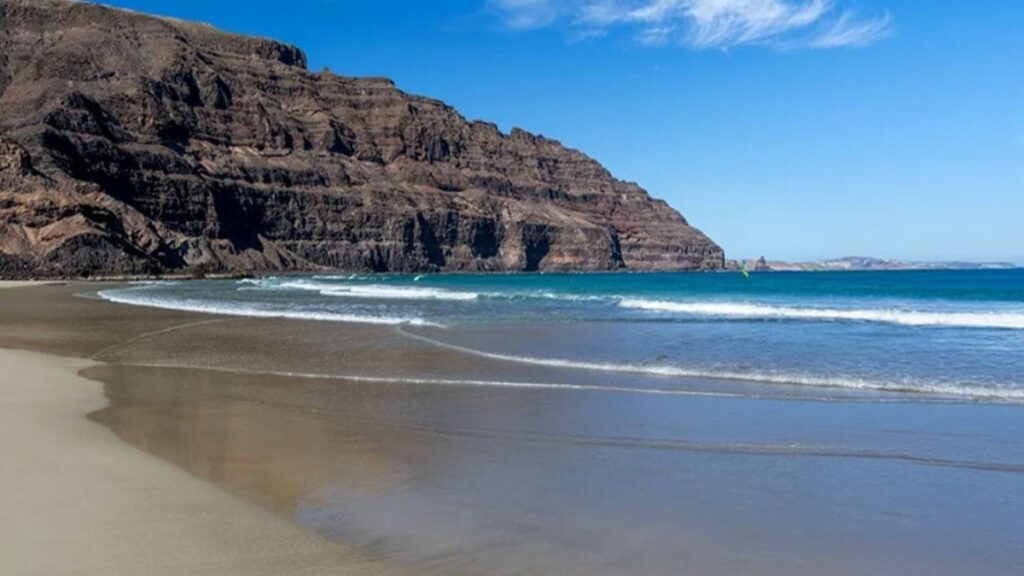 Sahil zehirli yaratıkla doldu taştı: Meşhur plaj kapatıldı