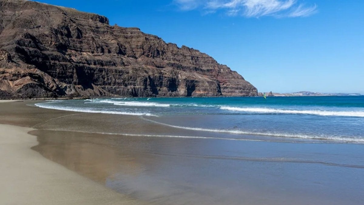 Sahil zehirli yaratıkla doldu taştı: Meşhur plaj kapatıldı