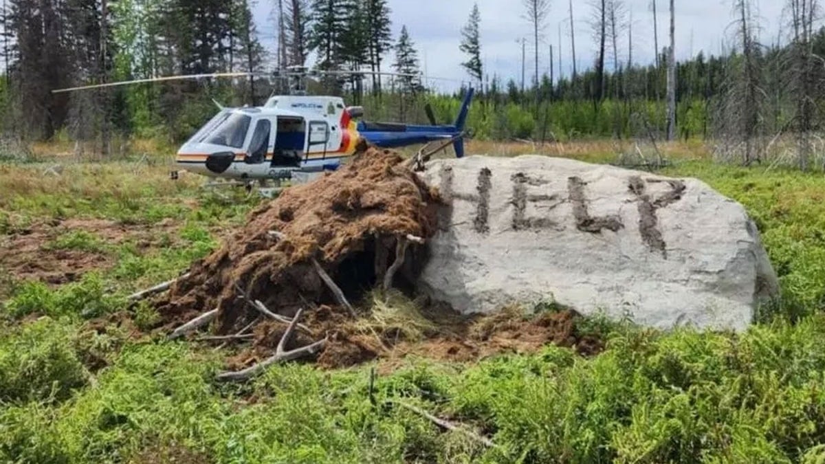Vahşi doğada mucizevi kurtuluş: Günlerce böyle hayata tutunmuş