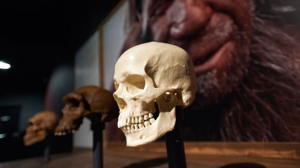 Yeni bir insan ırkı keşfedildi