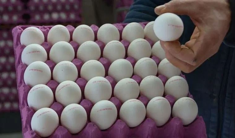 Yumurtalarda yasaklı antibiyotik tespit edildi! Yanlışlıkla market raflarına satışa konuldu