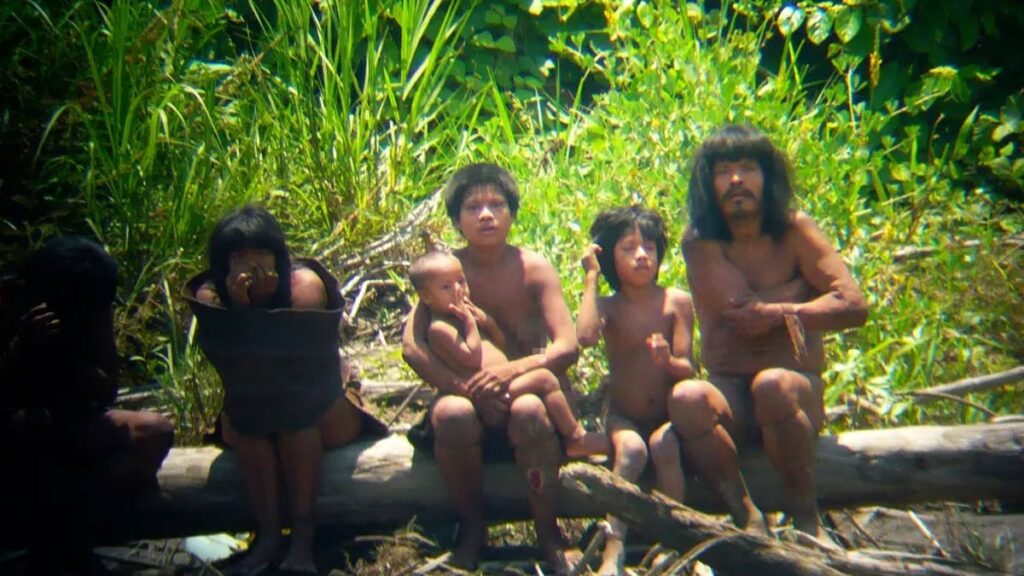 Amazon’un medeniyet görmemiş kabilesi temasa geçti: ‘Çatışma kaçınılmaz olabilir’