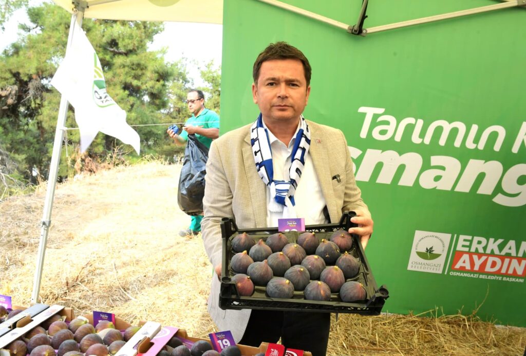 Osmangazi Belediyesi’nden dünyaca ünlü siyah incire festival