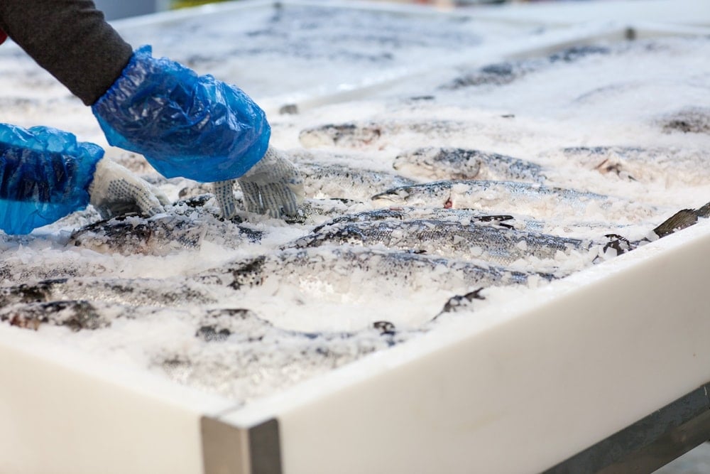 60 yıllık balık üreticisi iflas etti! Tüm tesisleri durma noktasına geldi