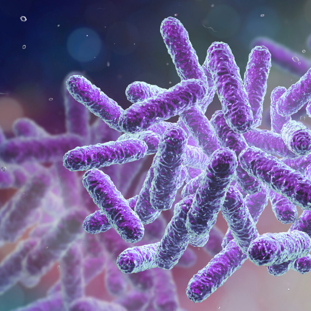 ABD’de salmonella alarmı