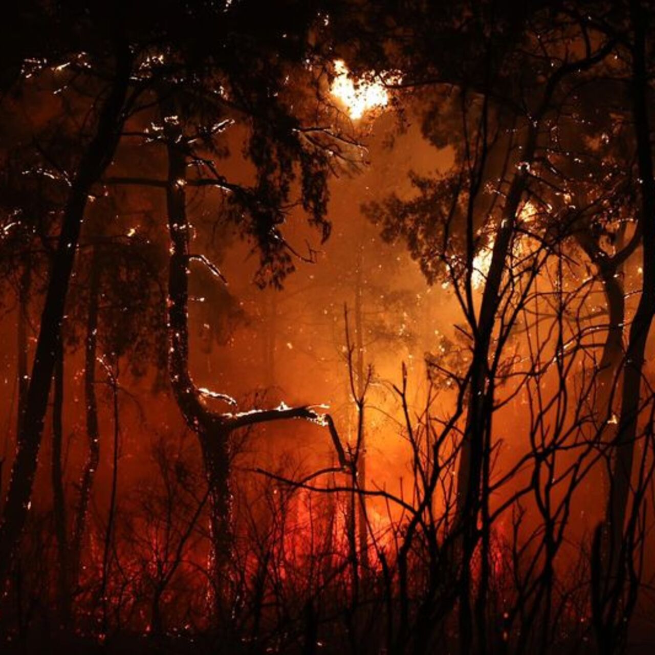 Antalya ve Muğla’da yangın