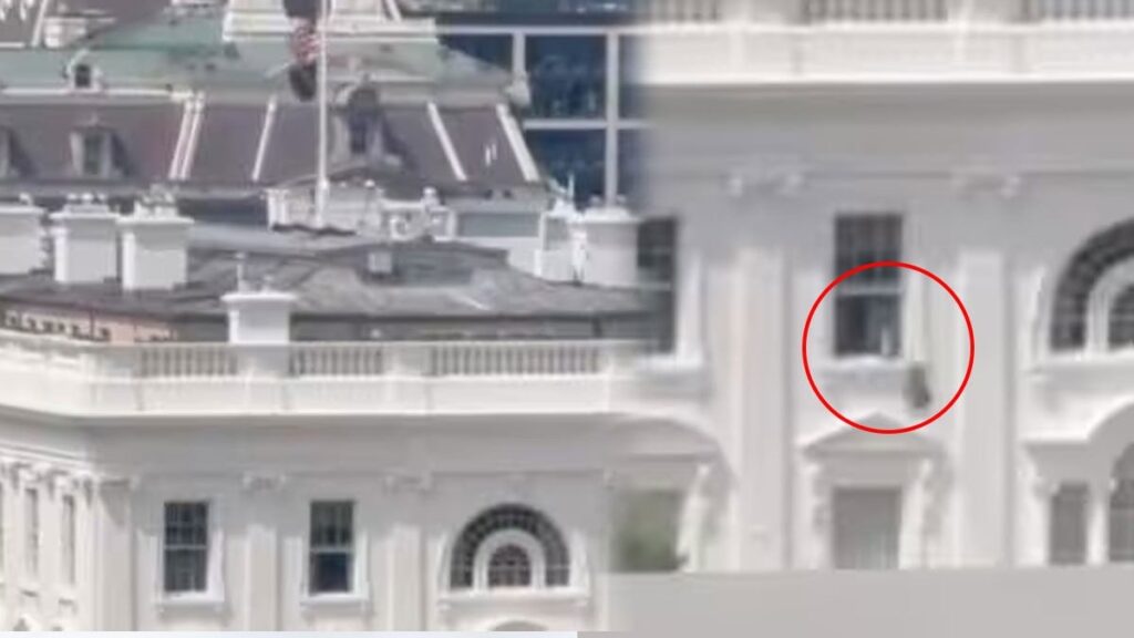 Beyaz Saray’da gizemli görüntü: Camdan siyah torba atan kişi merak konusu oldu