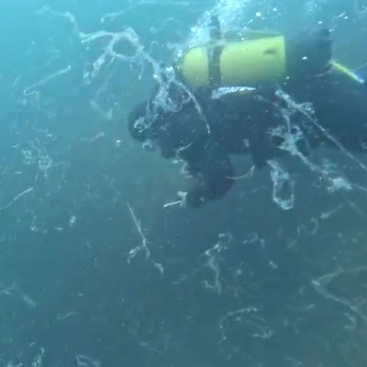 Birkaç haftaya Marmara’yı sarabilir!