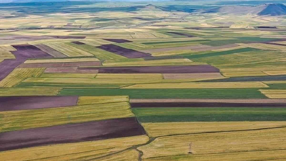 Bu ülke Türk vatandaşlarına ücretsiz arazi veriyor