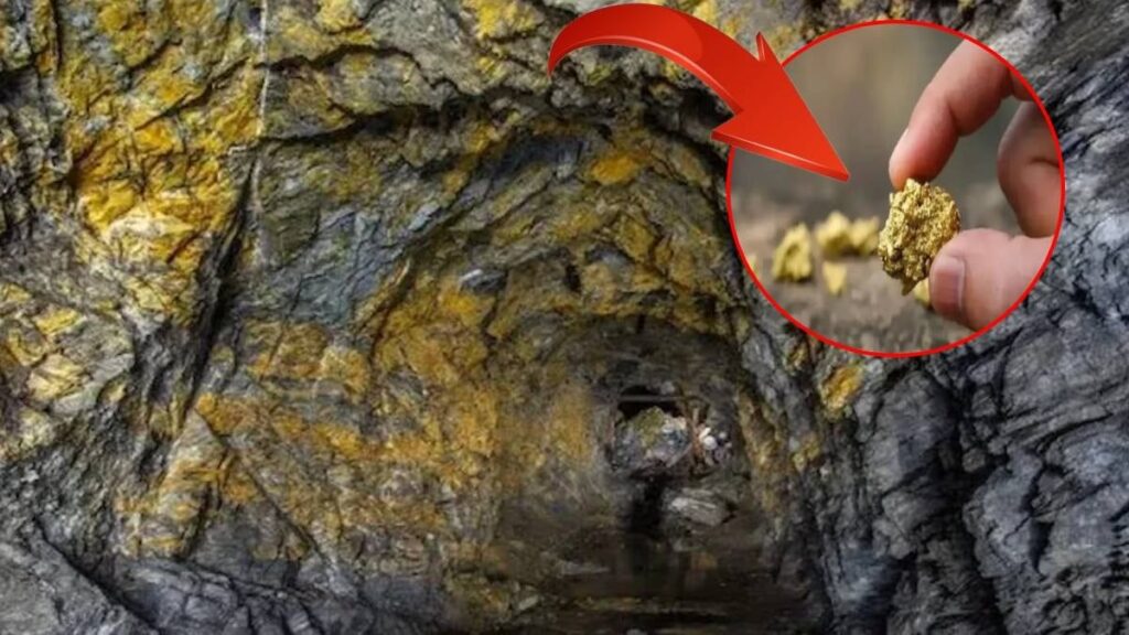 Devasa altın rezervi bulundu: Harita paylaşıldı tüm bölge külçe altınla dolu