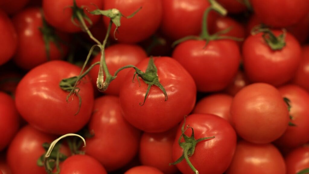 Domates yiyenler için acil uyarı! 16 ülkede yüzlerce kişi etkilendi
