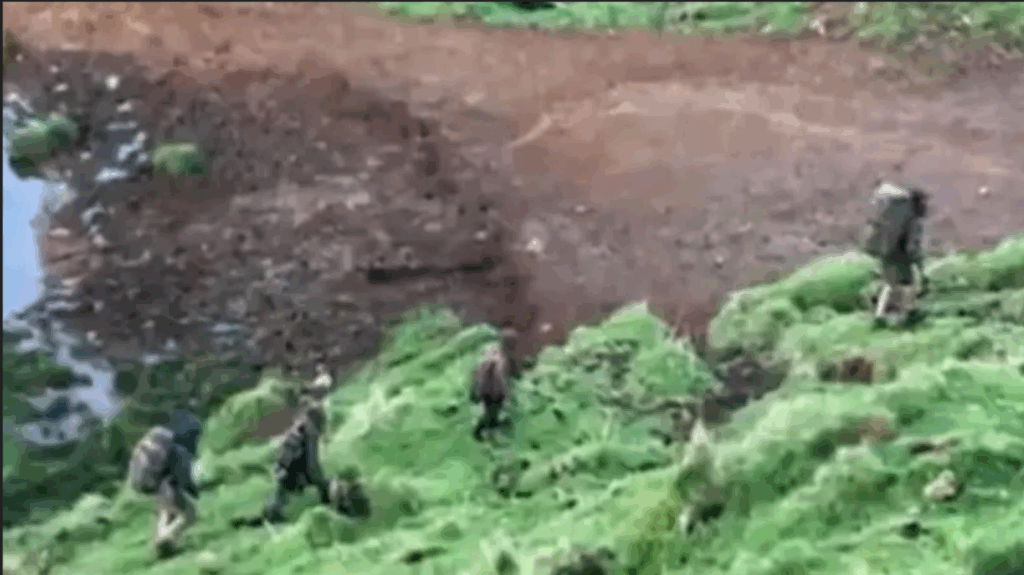 Dükkanları soydu, polisle çatıştı: ‘Mağara adamının’ çocukları 4 yıl sonra ormanda bulundu