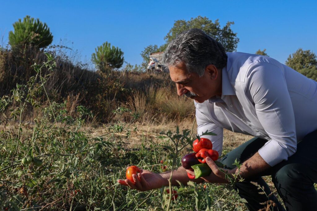 Gemlik Belediyesi Ata Tohumlarını Geleceğe Taşıyor