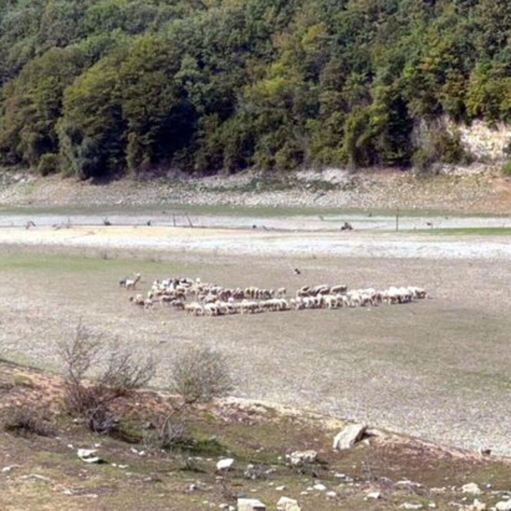 İstanbul’da barajlar yüzde 30’un altına indi