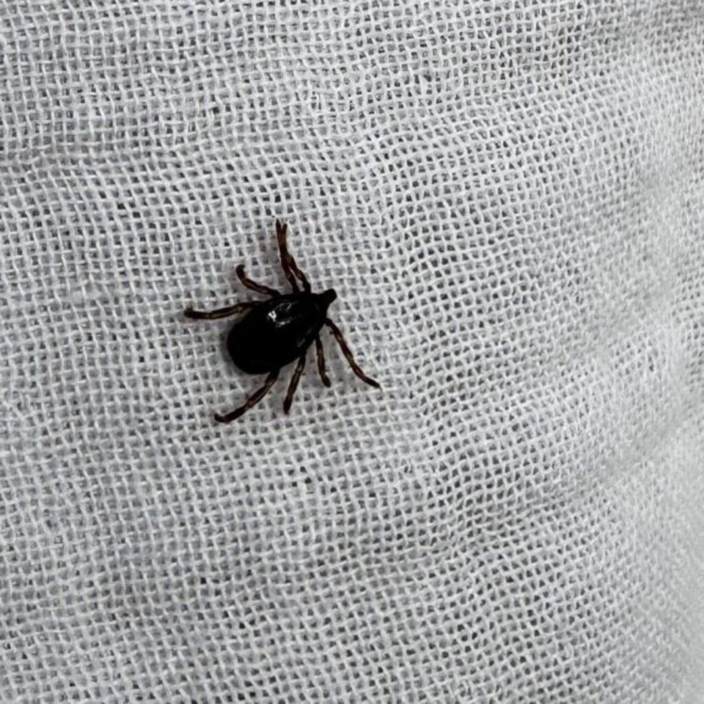 KKKA’da 110 hastadan 10’u öldü