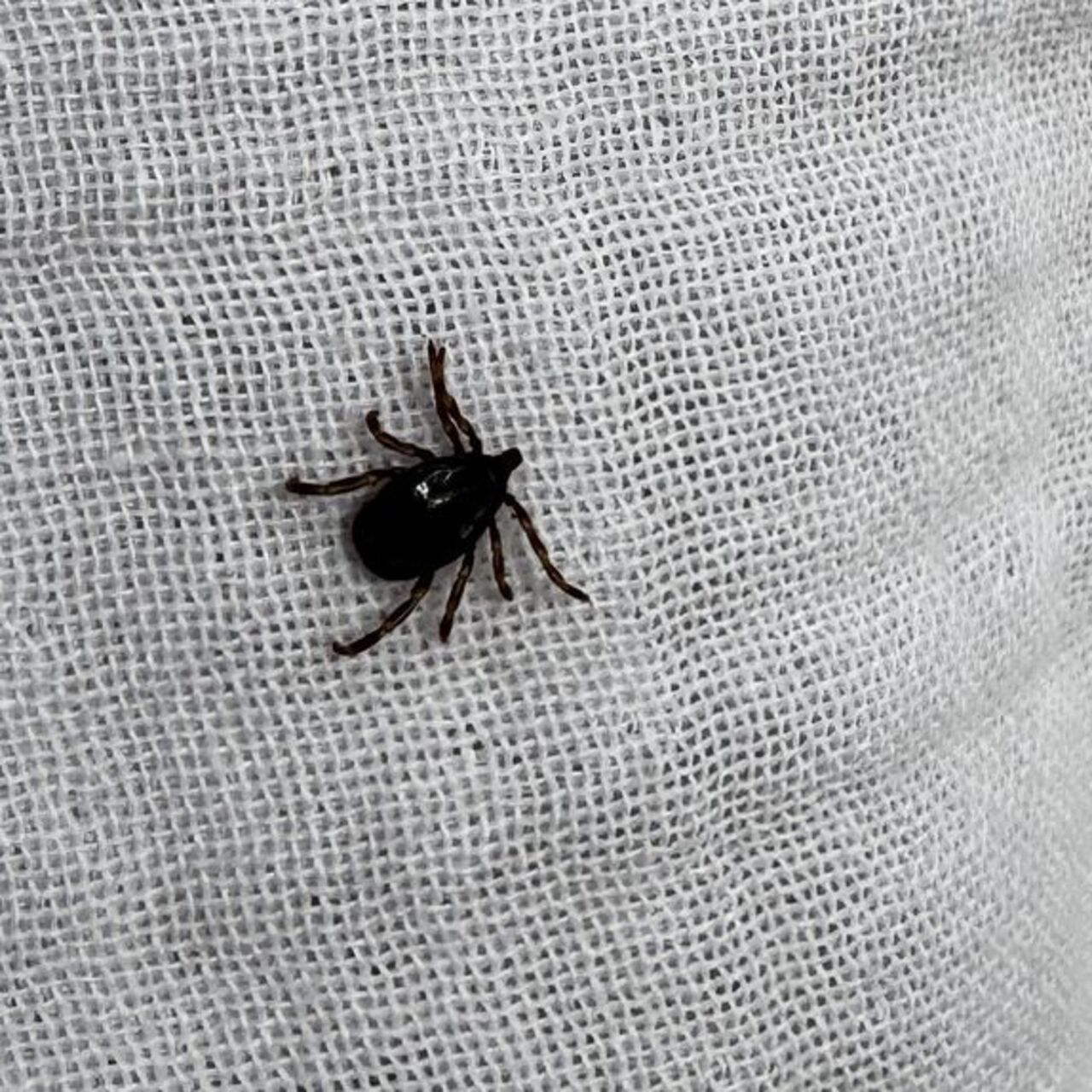 KKKA’da 110 hastadan 10’u öldü