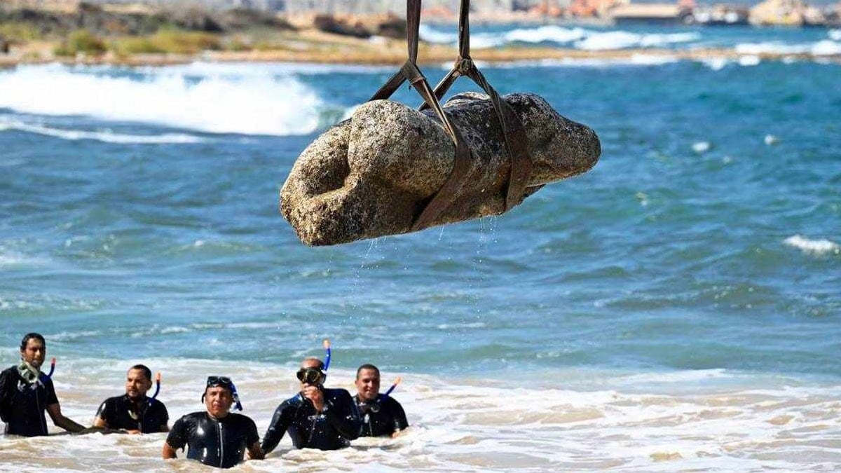 Onlarcasını denizde bulunca apar topar vinçleri çağırdılar