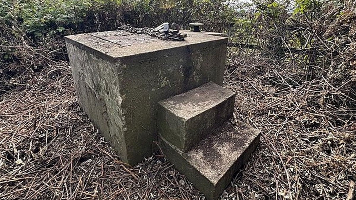 Ormanın ortasındaki beton 1.1 milyon TL’ye satışa kondu: Altından bambaşka bir dünya çıktı