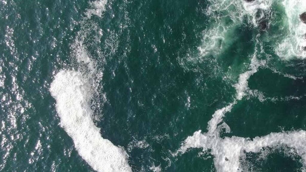 Pasifik Okyanusu’nda 8.000 kilometrelik bir “canavar” uyanıyor: Bilim insanları “daha önce böylesi görülmedi” diyor