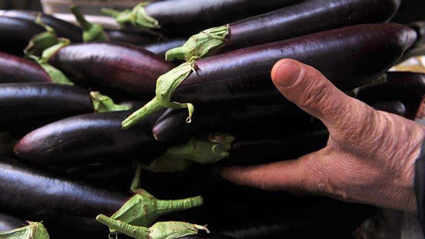 Patlıcan sapını sakın çöpe atmayın! Suda kaynatıp 1 bardak içerseniz…