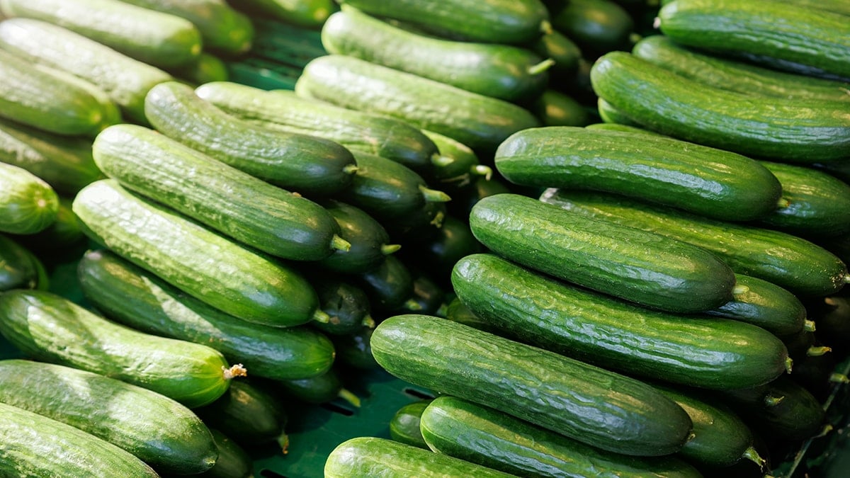 Salatalıklar acilen geri çağrılıyor: Değdiği yeri bile dezenfekte edin