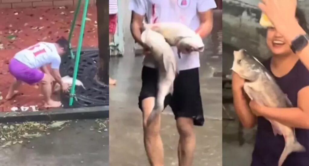 Sokaklar balıkla doldu: Kocaman balıkları kucaklayıp eve götürdüler