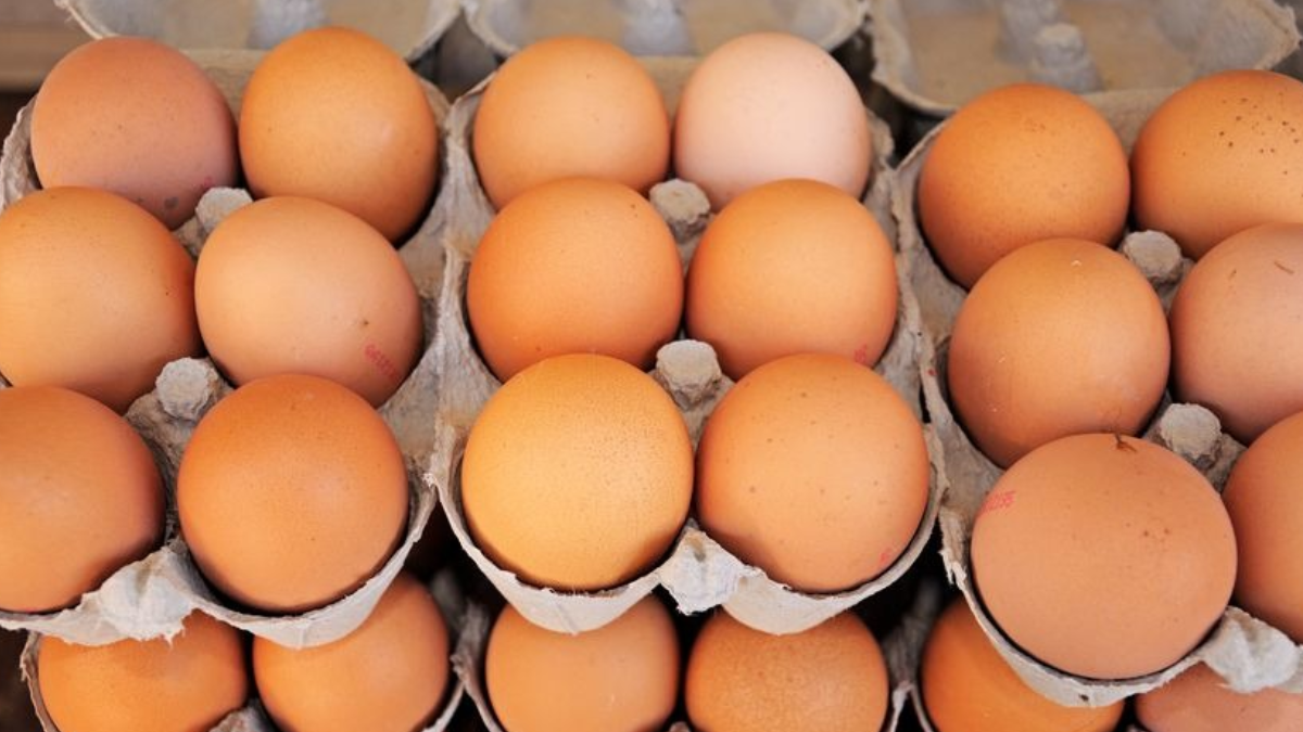 Uzmanlar marka verdi: Bu yumurtalar acilen raflardan kaldırılıyor