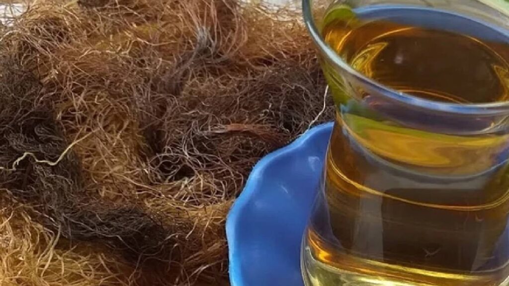 Yıllardır çöp diye atıyorduk ama kaynatıp içilince o sorundan eser kalmıyor