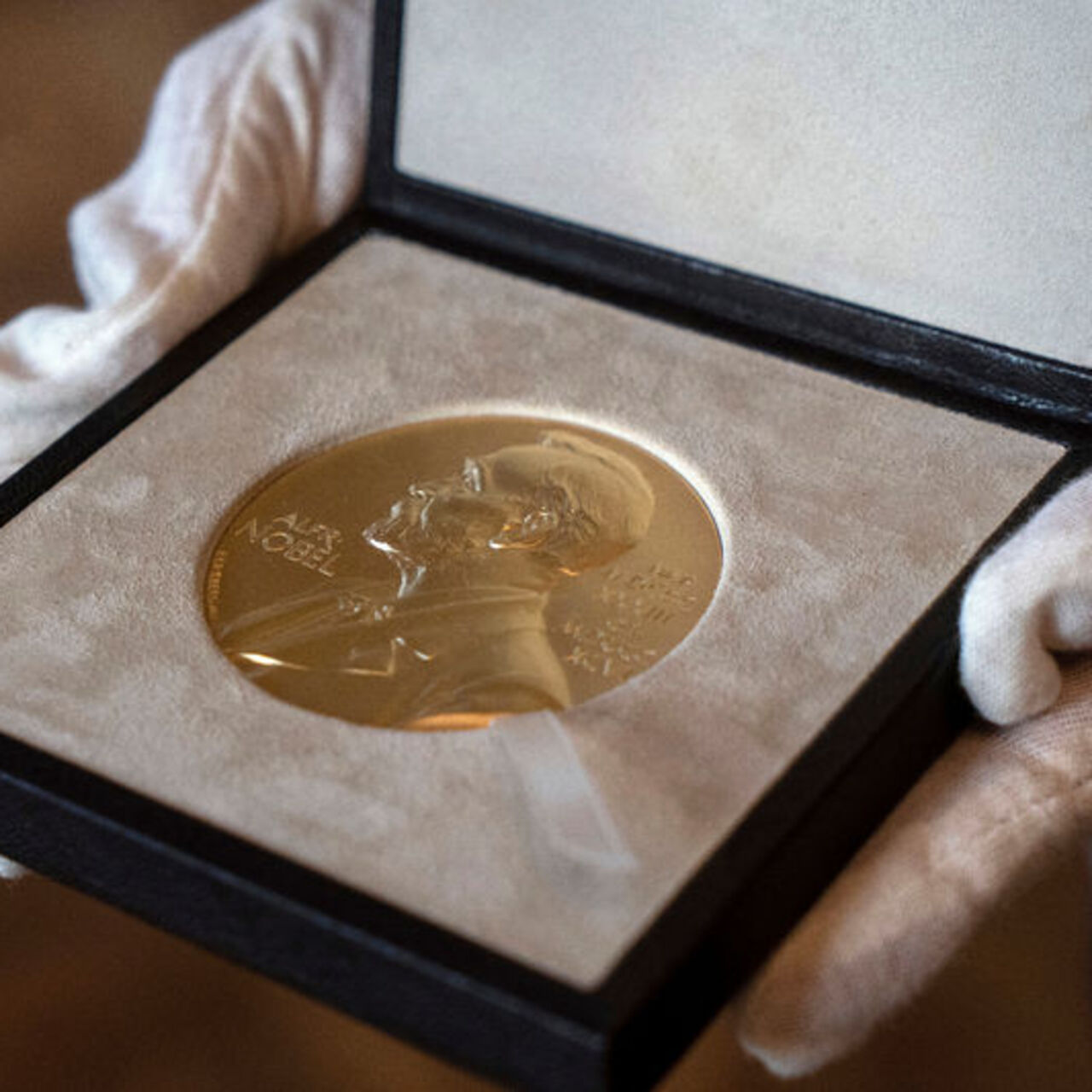 2025 Nobel Tıp Ödülü’nün sahipleri açıklandı