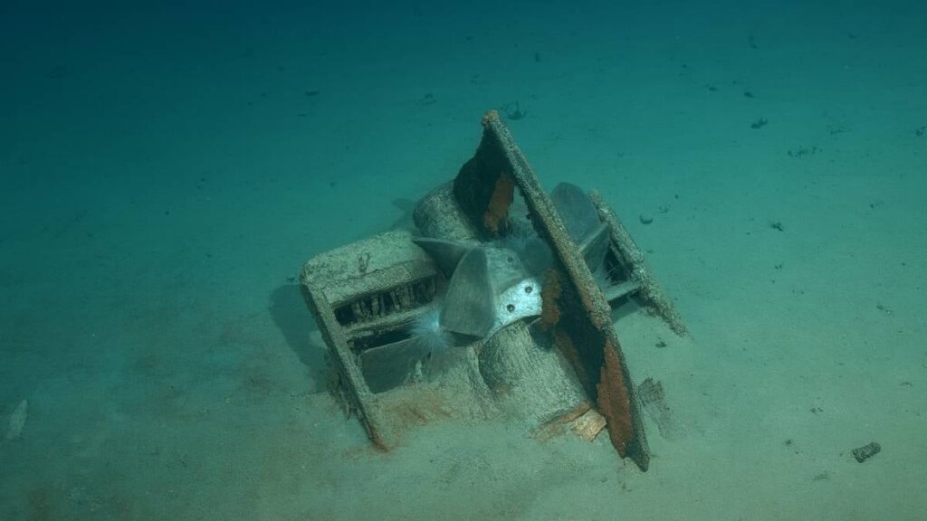 1917’den beri kayıp olan ‘hazine’ bulundu: 108 yıllık gizem çözüldü